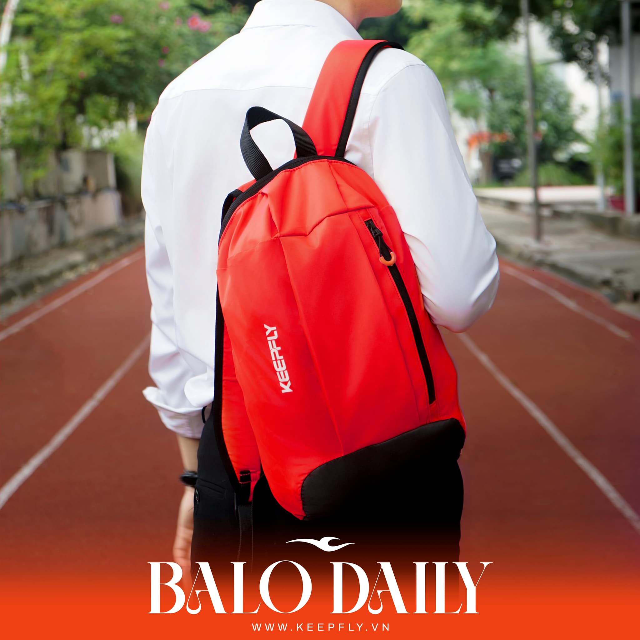 Balo Daily KEEPFLY 6