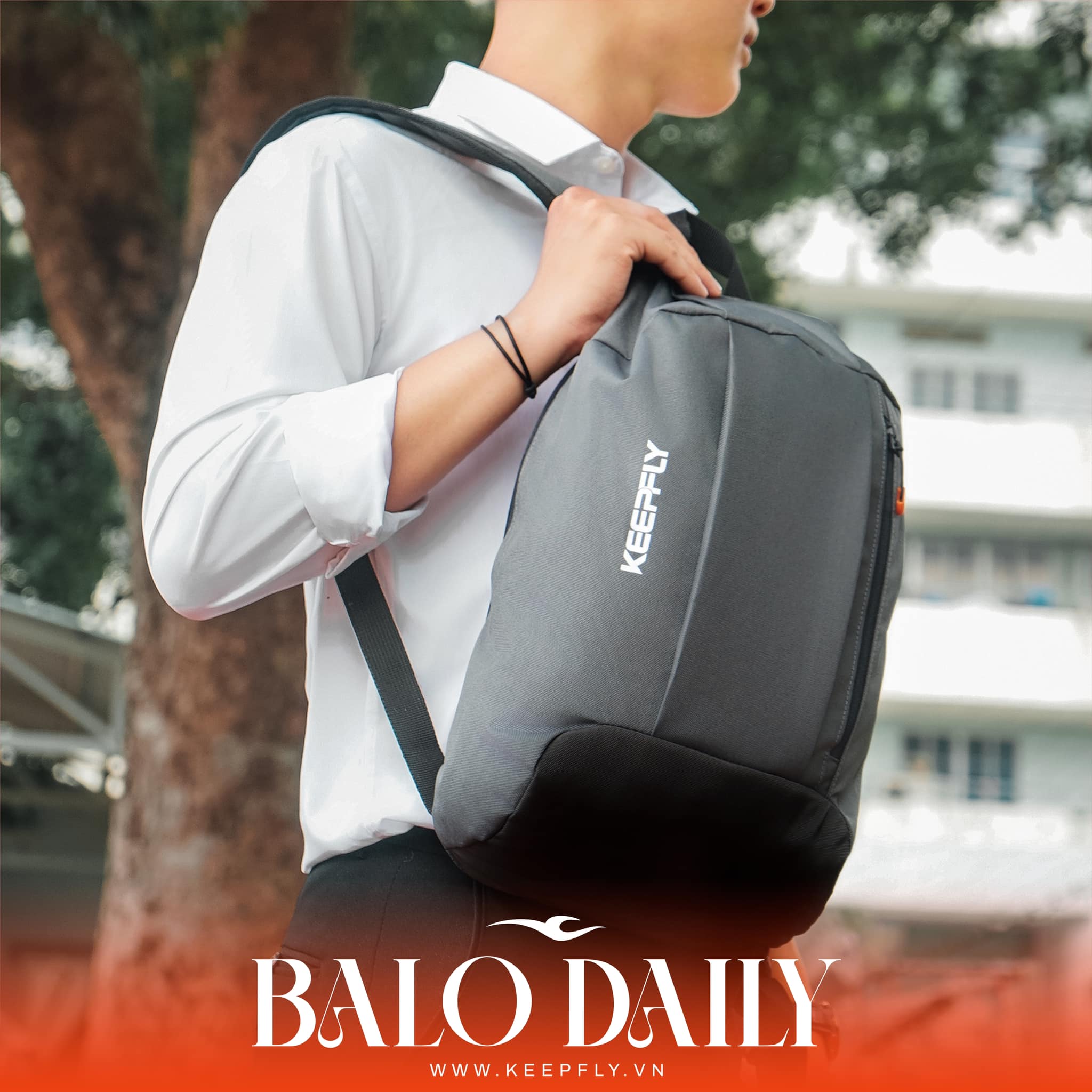 Balo Daily KEEPFLY 7